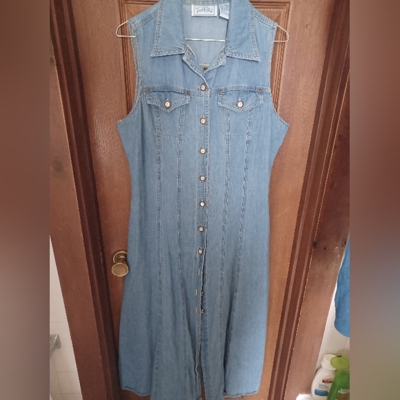Dresses & Skirts - Gorgeous Denim Button-Up Dress